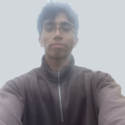 Shaurya Sane